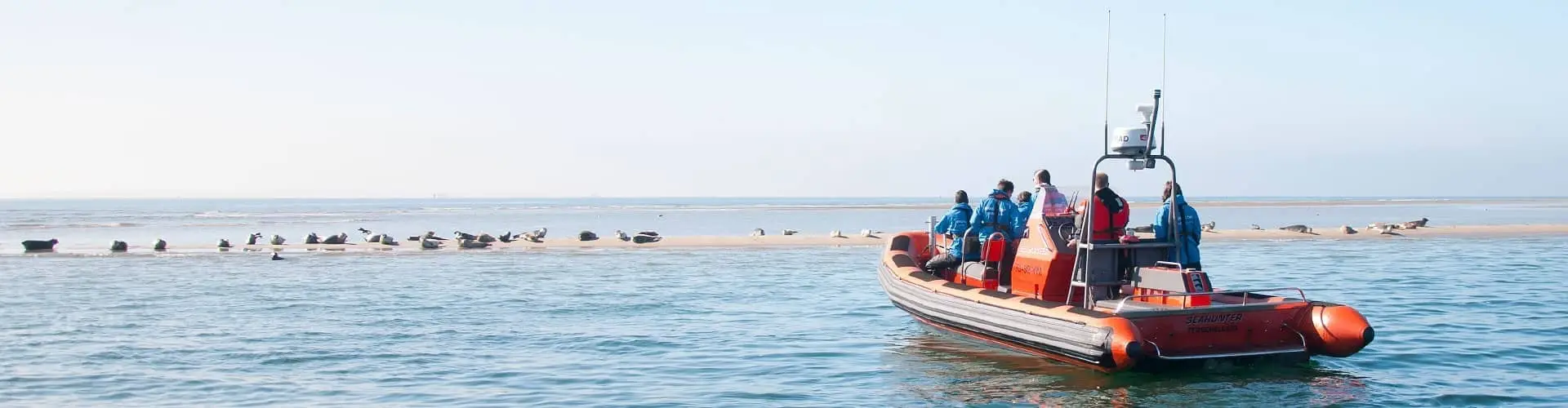 Zeehonden kijken met een snelle RIB