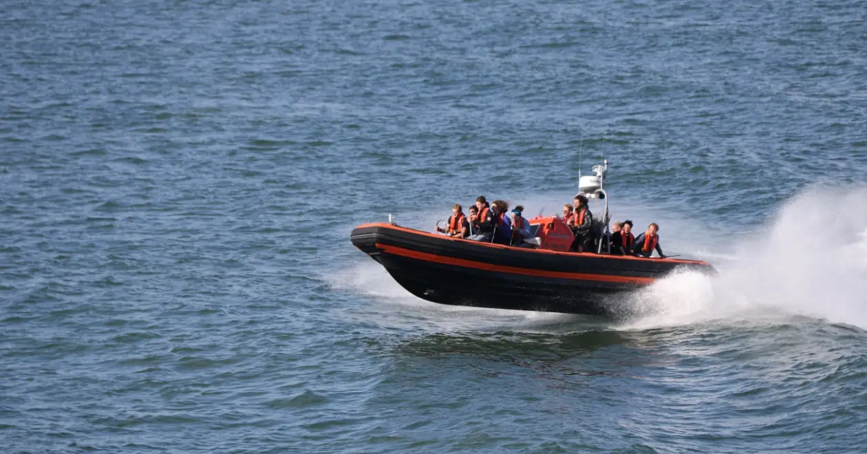 Zeehonden kijken met een snelle RIB